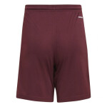 Squadra 21 Short Jr Adidas