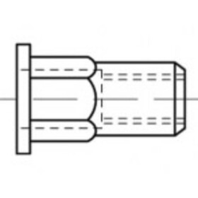 TOOLCRAFT TO-5444328 slepá nitovacie matice M8 ocel 100 ks; TO-5444328