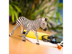 Safari Ltd. Safari Ltd. Figúrka - Zebra