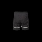 Pánske šortky FORTY L