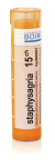 STAPHYSAGRIA 15CH granule 4 g