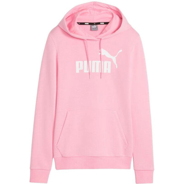 Puma ESS Logo Hoodie 586797 30