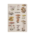 Sass & belle Notes Vintage Mushrooms A5