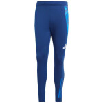 Nohavice adidas Tiro 24 Competition Training M IP1872 S