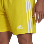 Pánske krátke nohavice Squadra 21 M GN5772 - Adidas XS