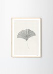 THE POSTER CLUB Autorský plagát Ginkgo Leaf by Ana Frois 30x40 cm