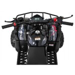 Mamido Detská benzínová štvorkolka RamiGO WILDPEAK 110CC čierna