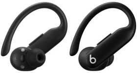 Beats Beats Powerbeats Pro 2 True Wireless Earbuds, Storm Black