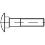 TOOLCRAFT 1061437 plochá okrúhla skrutka M12 45 mm štvorhran DIN 603 nerezová ocel A2 100 ks; 1061437