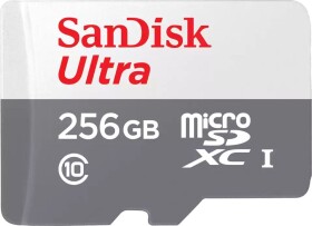 SanDisk Ultra MicroSDXC 256 GB Class 10 UHS-I (SDSQUNR-256G-GN6TA)