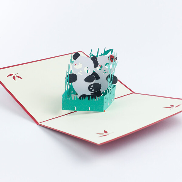 Veselá Stena 3D prianie Pandy