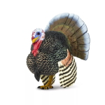 Safari Ltd. Safari Ltd. Morčací