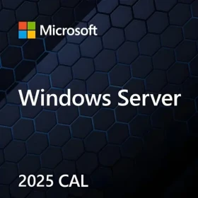 MS Windows Server CAL 2025 / Prístupová licencia / 1 CAL (EP2-25286)