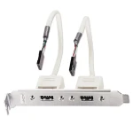 Lindy Slotblech USB adaptér / Redukcia / 2x USB-A - 2x IDC 5pin / 0,2m (33147)