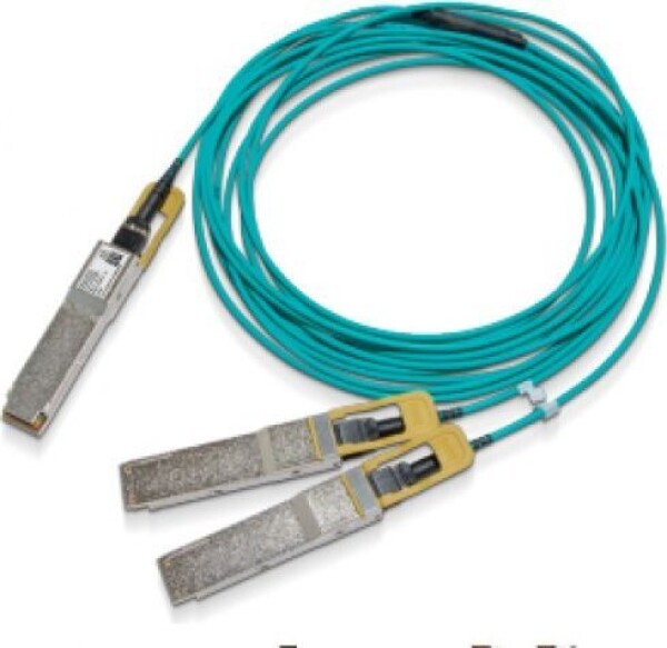 NVIDIA NVIDIA - Splitter zum direkten Anschliessen - QSFP56 (M) zu QSFP56 (M) - 30 m