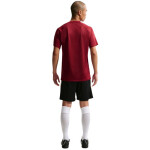 Pánske tričko Nike Dri-Fit Park VIII Burgundy HV8173 677 Pánske XL
