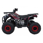 Mamido Detská benzínová štvorkolka RamiGO DISCOVERER 125CC čierno-červená