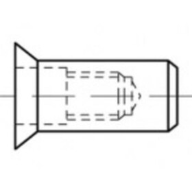 TOOLCRAFT TO-5444313 slepá nitovacie matice M8 ocel 250 ks; TO-5444313