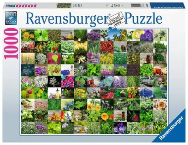 Ravensburger 99 bylín a korenín