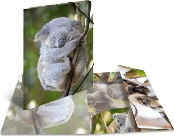Herma Dosky s gumičkou Koala / Dosky na dokumenty / A4 / Polypropylén / Lesklé / 3 chlopne (19323)