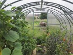 Oblúkový polykarbonátový skleník Gardentec Classic (4 × 3 m)