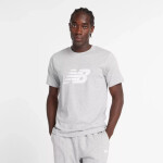 Tričko New Balance S/S Sport Graphic V Flying MT43906AG pánske L