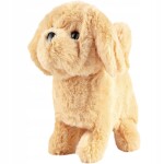 Interaktívny chodiaci psík so zvukmi MalPlay