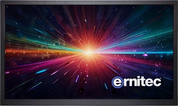Ernitec 65" 4K 24/7 Monitor for Swim