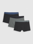 Pánske boxerky 4F (3balenia) S
