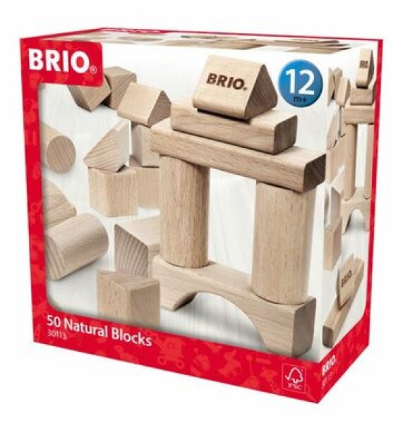 Brio Drevené kocky 50 dielikov