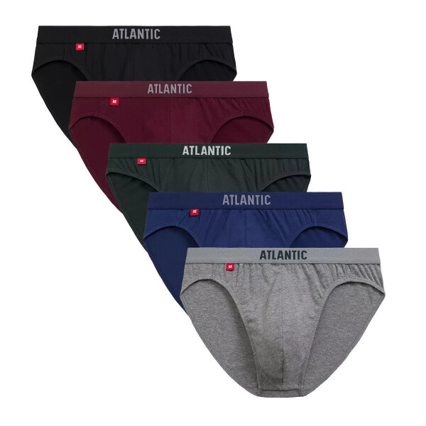 Pánske slipy 5 pack 004/2 - Atlantic vícebarevná S