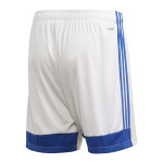 Pánske šortky Tastigo 19 FI6355 Adidas