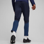Puma Team Goal Training M nohavice 658639 06 L