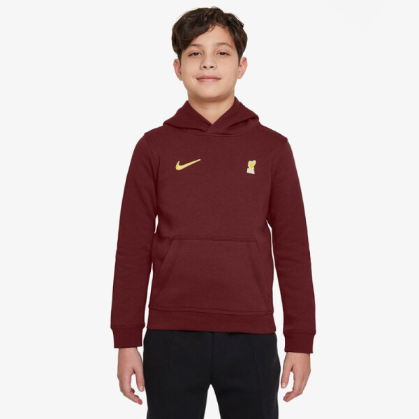 Nike Liverpool FC NSW Club PO Hoodie Jr FZ4149-619 XS (122-128)