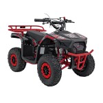Mamido Detská benzínová štvorkolka RamiGO SIRIUS 49CC červená