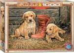 EUROGRAPHICS Puzzle Šteňatá so starou topánkou