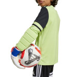 Adidas Squadra 25 Juniorské brankárske tričko s dlhým rukávom JJ1940 164 cm