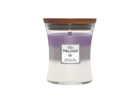 Woodwick Trilogy Amethyst Sky 275g - váza stredná / doba horenia: až 65h (5038581133256)