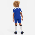 Nike Chelsea FC Junior Football Kit 2023/24 JSY Stadium Home DX2799-496