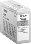 Epson Wkład atramentowy UltrachrómeHD Light Light Black (C13T850900)