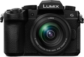 Panasonic Lumix DC-G91 + G Vario 12-60mm f/3.5-5.6 OIS (DC-G91MEG-K)