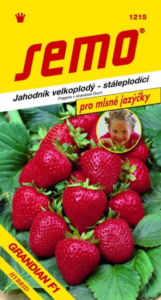 SEMO Jahoda veľkoplodá GRANDIAN F1 stálerodiaca