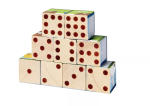 PlanToys PlanToys Obrázkové kocky - Zvieratá