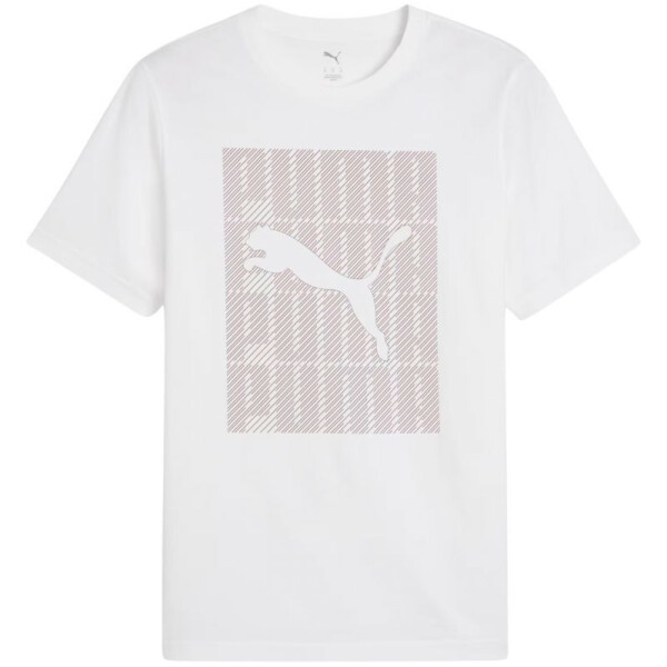 Puma Graphics Wording Tričko M 684825 02 muži 2 XL