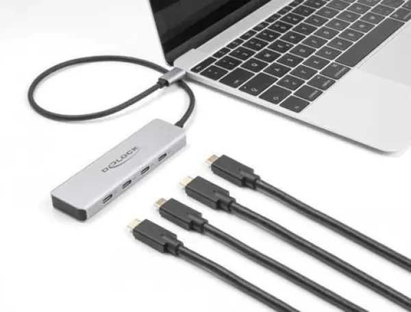 DeLock 64231 sivá / USB hub / USB-C / 4× USB-C / 10 Gbps (64231)