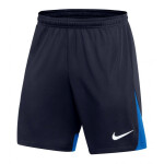 Šortky Nike Dri-FIT Academy Pro M DH9236-451 XXL (193 cm)