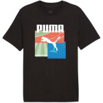 Pánske športové tričko Puma Graphics Summer II 627909 01