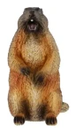 ZOOTED Figúrka Svišť žltobruchý