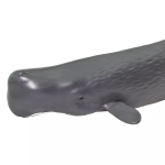 Safari Ltd. Safari Ltd. Figúrka - Vorvaň obrovský