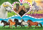 Trefl - Puzzle - Krásne kone